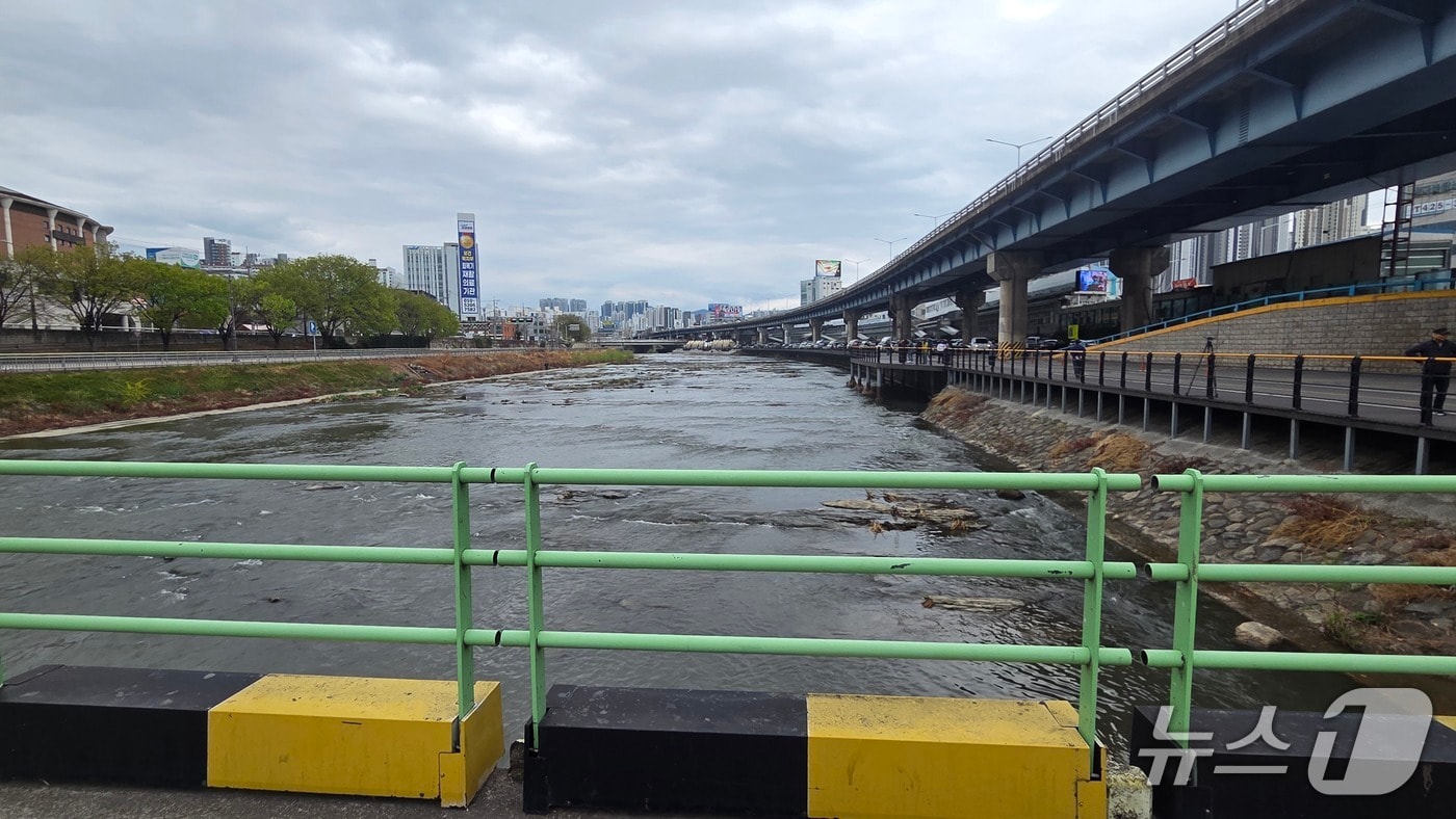 대구 북구 칠성동 잠수교 아래에서 50대 여성 시신이 든 캐리어가 발견돼 경찰이 수사에 나섰다. 사진은 캐리어 발견 지점인 잠수교 인근 모습. 2026.3.31 ⓒ 뉴스1 이성덕 기자