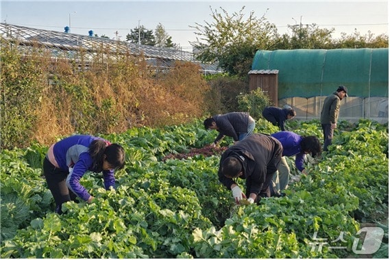 부산시 제공. 재판매 및 DB금지