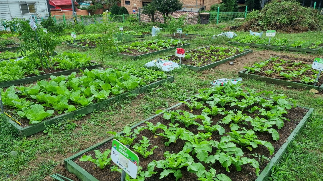 강북 도시농업 체험장 전경(강북구 제공)