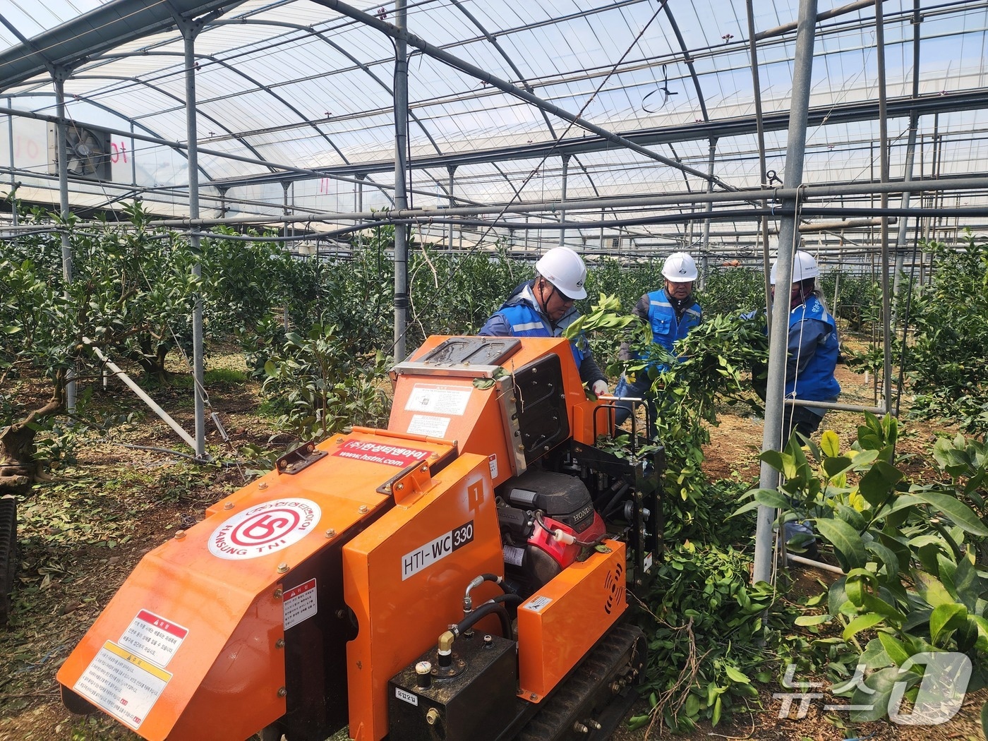 파쇄기 사용하는 농가(제주도 제공. 재판매 및 DB금지)/뉴스1