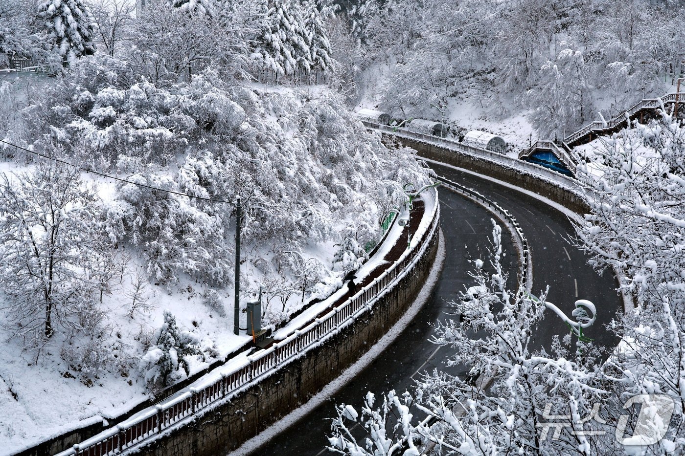 강원 태백시 제설 작업 도로 구간 자료 사진. (태백시 제공. 재판매 및 DB금지) 2026.3.4/뉴스1