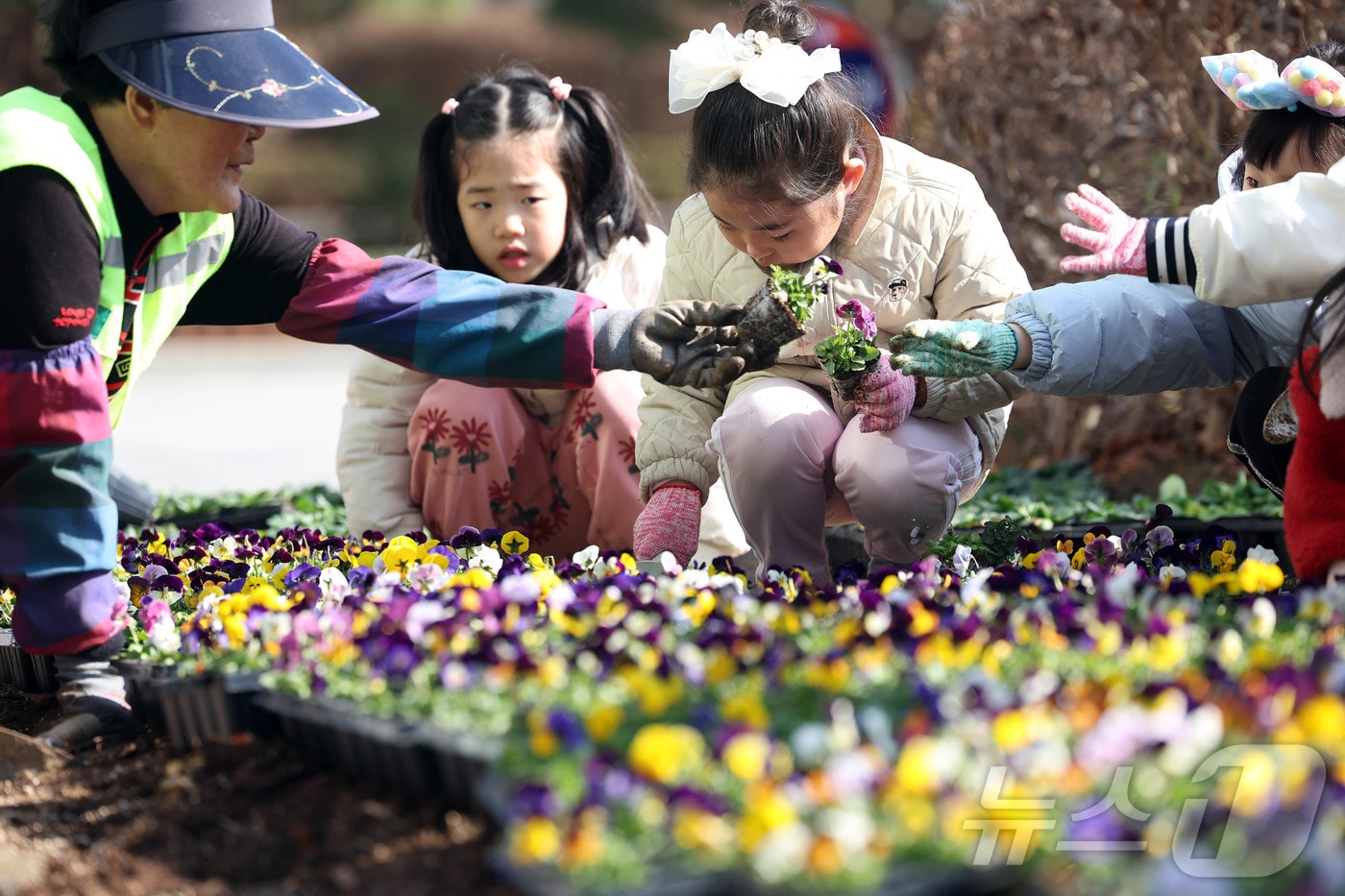 초봄 날씨를 보인 4일 광주 북구청 광장에서 직원과 북구청직장어린이집 아이들이 따뜻한 봄 햇살아래 팬지, 비올라 등의 봄꽃을 심고 있다. (광주 북구 제공. 재판매 및 DB 금지) 2026.3.4 ⓒ 뉴스1 박지현 기자