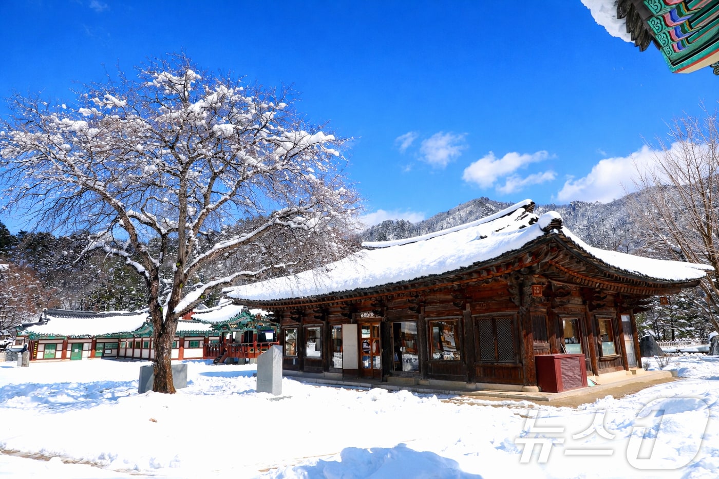 절기상 개구리가 겨울잠에서 깨어난다는 경칩(驚蟄)인 5일 강원 인제군 북면 백담사가 최근 내린 눈으로 뒤덮여 있다.(인제군 제공. 재판매 및 DB금지) 2026.3.5 ⓒ 뉴스1 이종재 기자