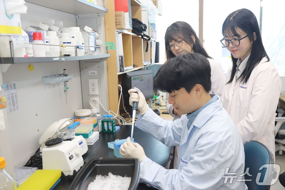 사람 장 닮은 세포 모델로 약물 부작용 미리 정밀 진단 - 뉴스 썸네일 이미지