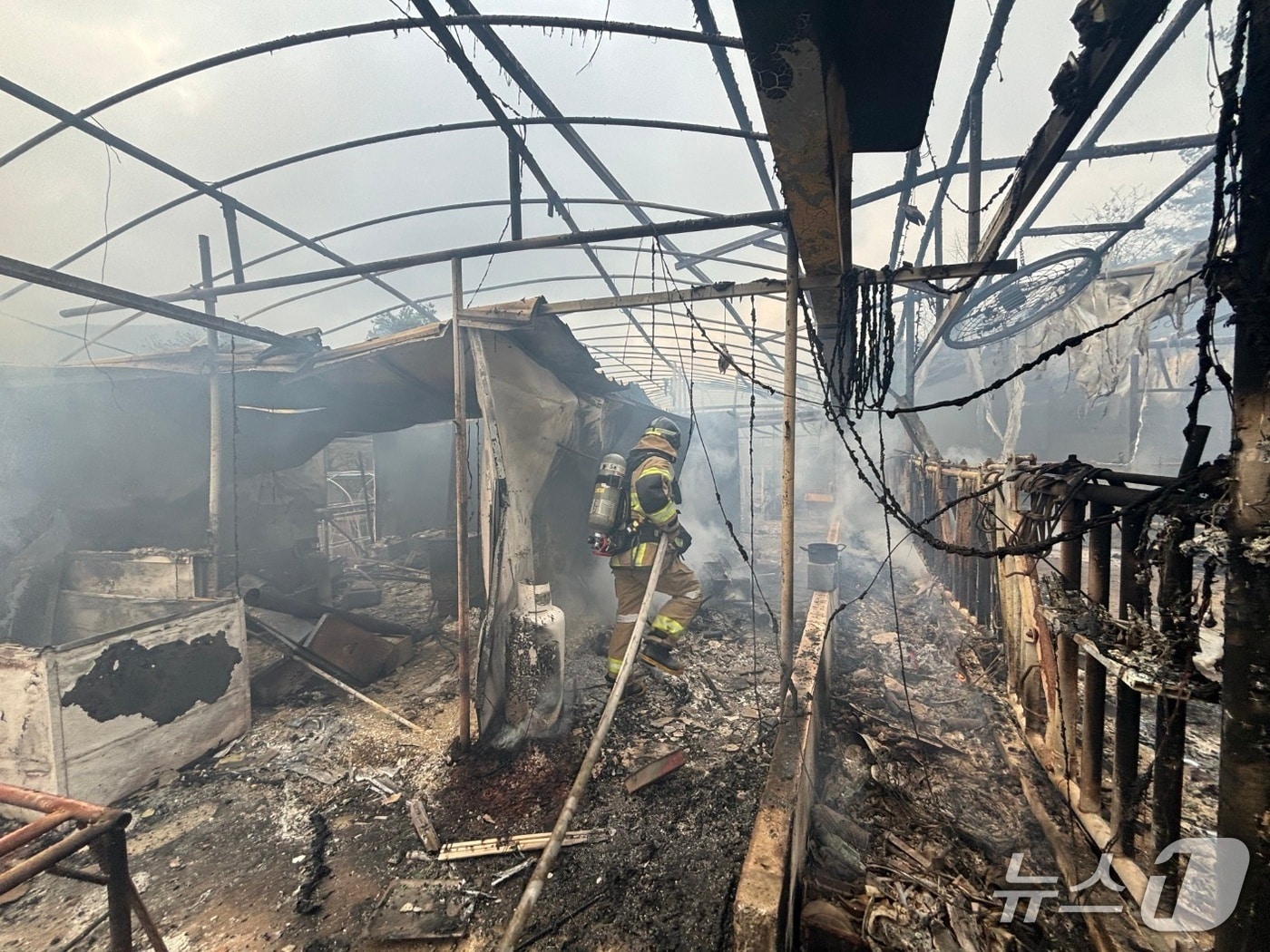 불이 난 축사.(단양소방서 제공. 재판매 및 DB금지)