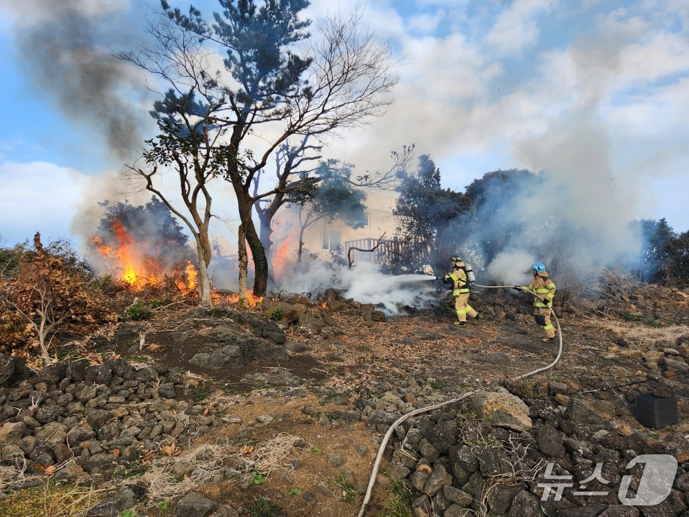 지난달 4일 제주시 구좌읍 평대리에서 발생한 방풍림 화재현장.(제주도소방안전본부 제공. 재판매 및 DB r금지)