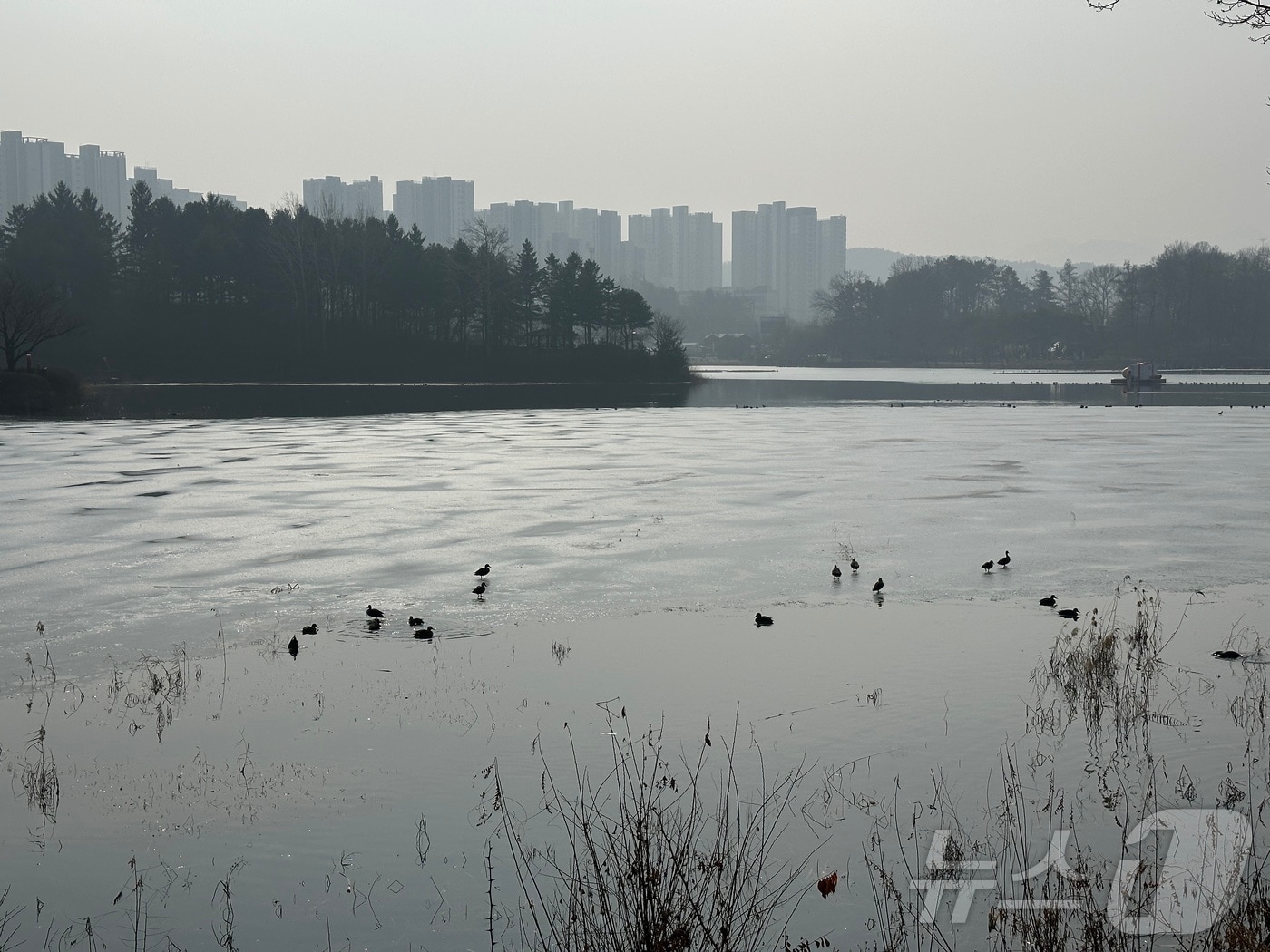 충주 호암지 겨울 풍경. ⓒ 뉴스1 윤원진 기자