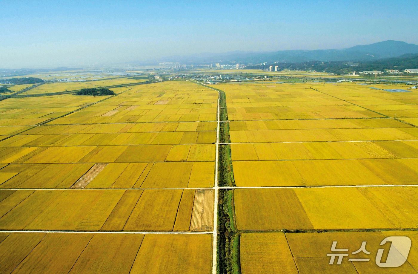 청주 청원생명쌀 재배 단지.
