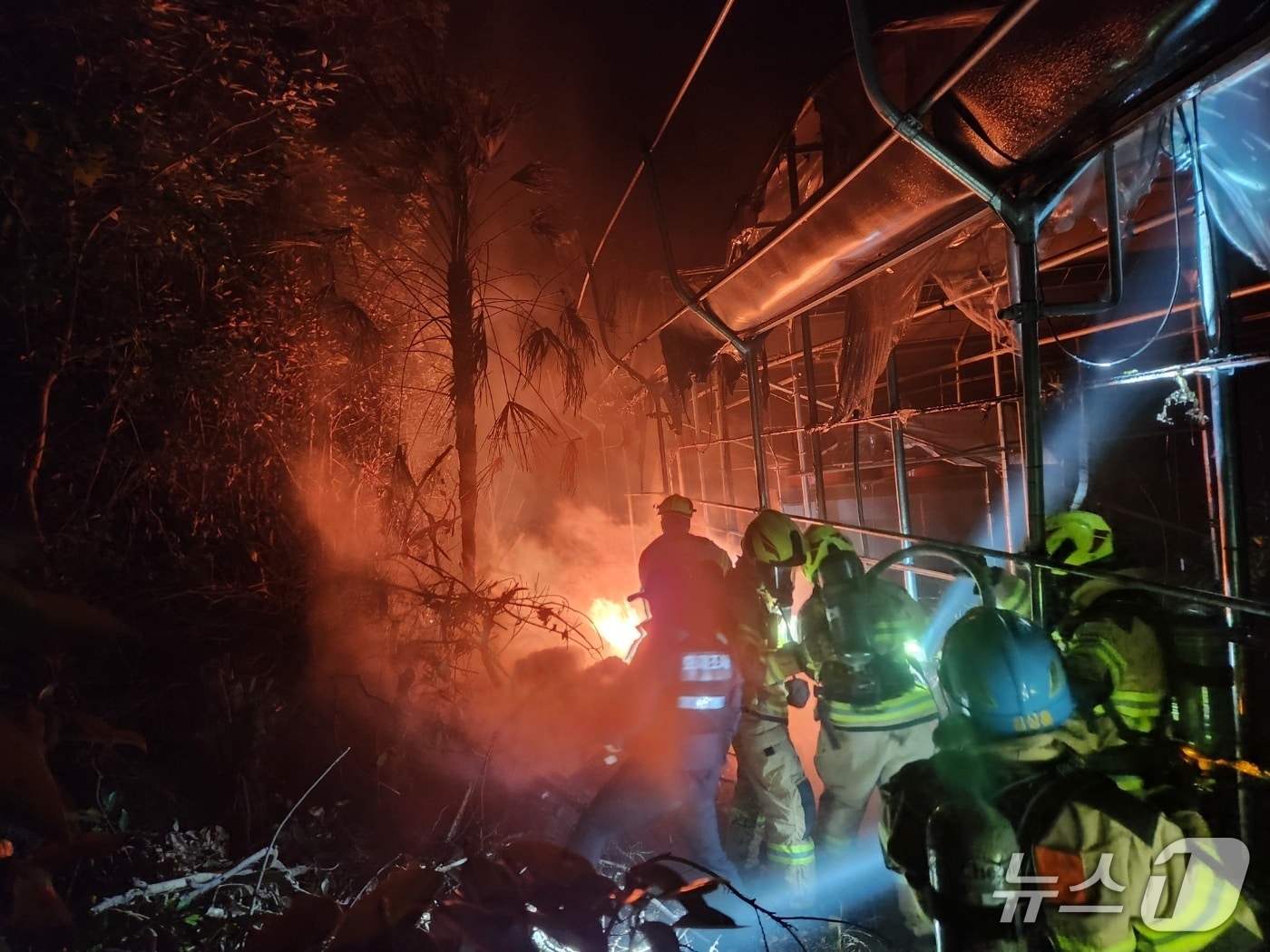 감귤 과수원 화재 현장(제주소방본부 제공. 재판매 및 DB금지)/뉴스1