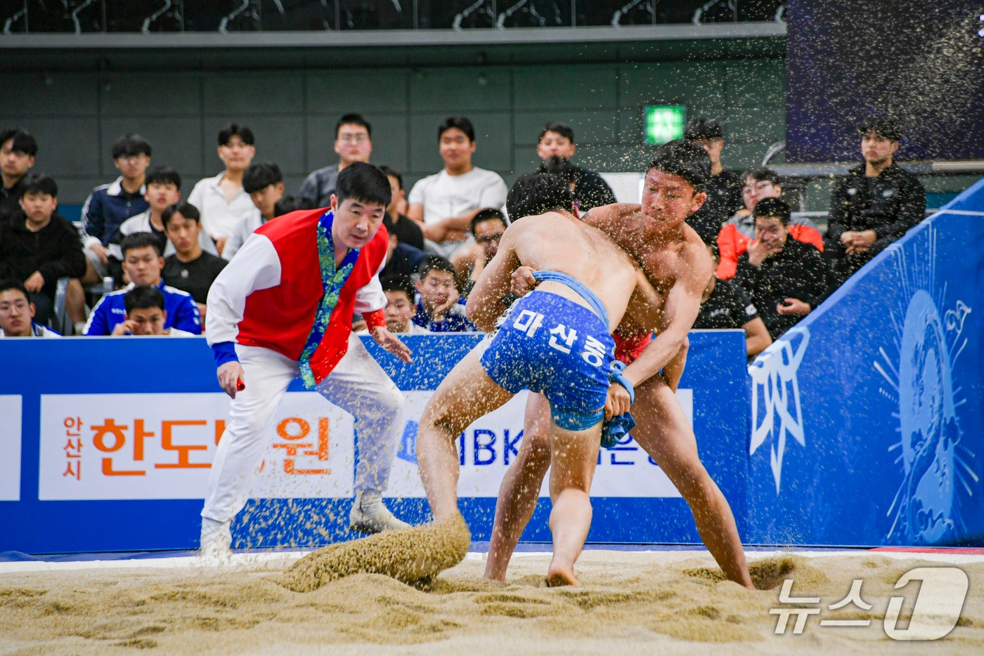 지난해 열린 55회 회장기 전국장사씨름대회에서 중등부 학생들이 실력을 겨루고 있다.(문경시 제공. 재판매 및 DB 금지)2026.3.9/뉴스1