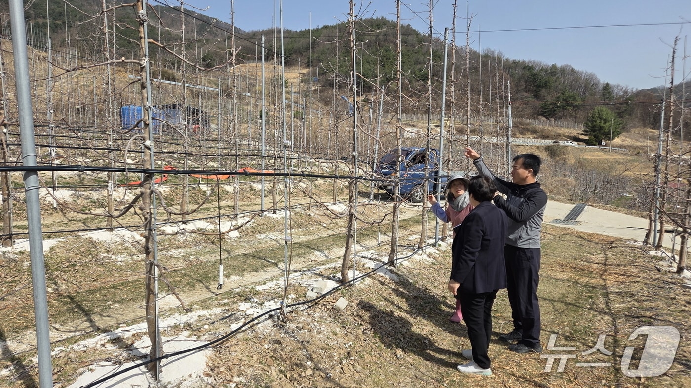 신규 농업인이 선도 농가에서 현장 실습을 하고 있다.(영주시 제공. 재판매 및 DB 금지)2026.3.9/뉴스1