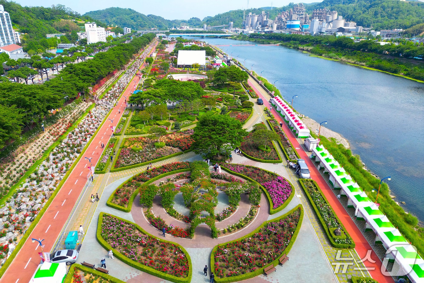 지난해 삼척 장미축제 자료사진.(삼척시 제공, 재판매 및 DB 금지) 2026.3.9/뉴스1