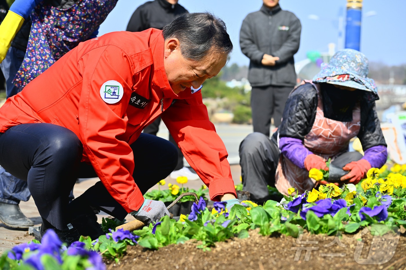 이병선 강원 속초시장이 4일 설악해맞이공원 입구 봄꽃 식재 현장을 찾아 꽃을 심으며 작업 상황을 점검하고 있다.(속초시 제공, 재판매 및 DB 금지) 2026.3.9 /뉴스1