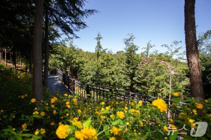 봉산 무장애숲길 9.8km 조성.(은평구 제공)