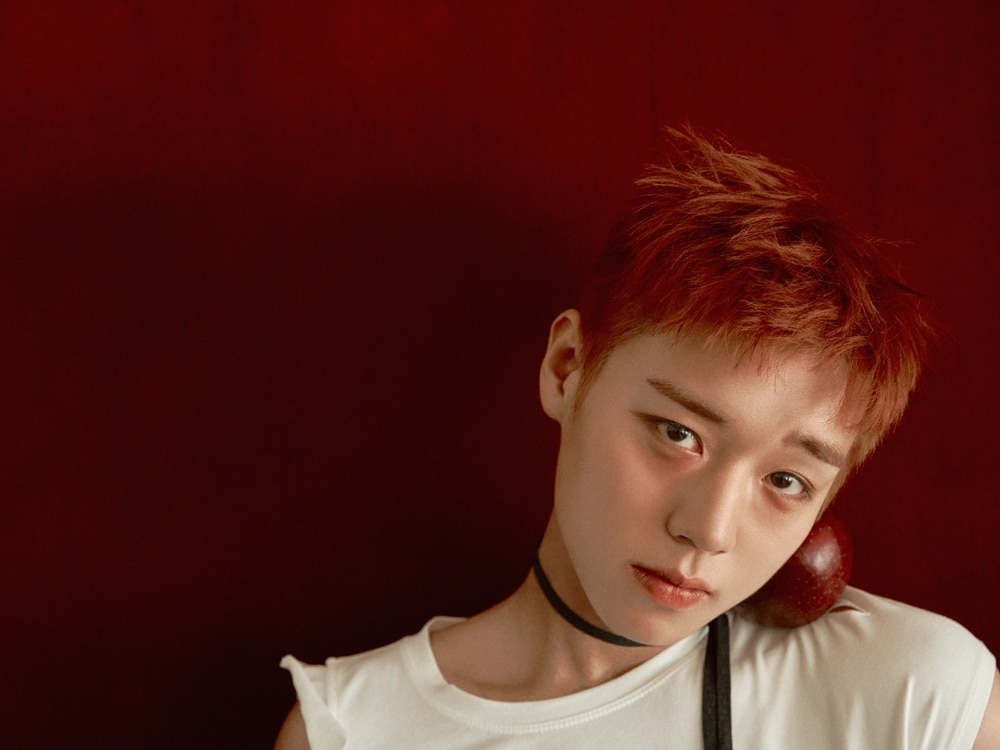 박지훈(YY엔터테인먼트 제공)