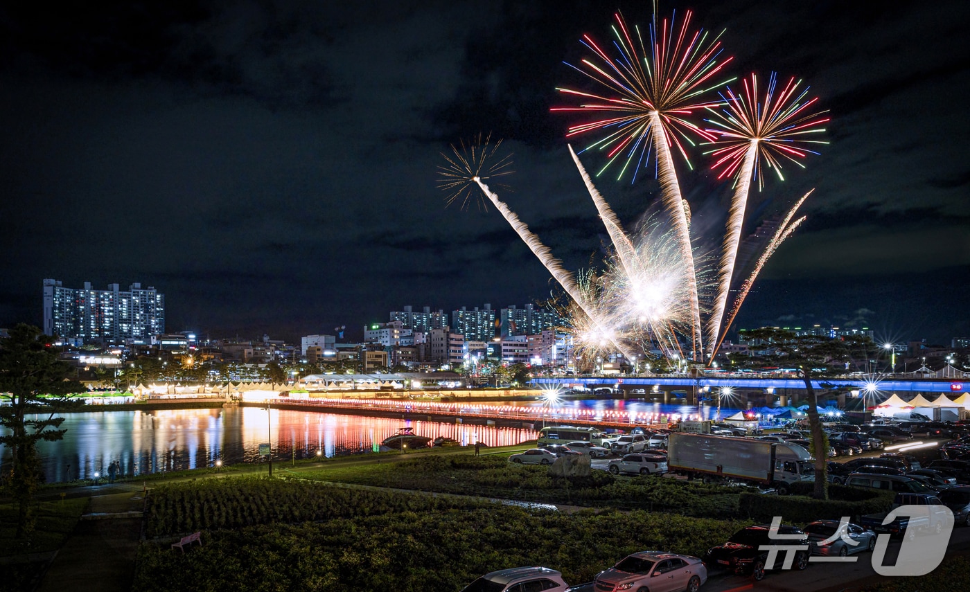 제18회 영천관광 전국사진공모전 입상작 이상영씨의 불꽃놀이(영천시 제공. 재판매 및 DB금지)/뉴스1