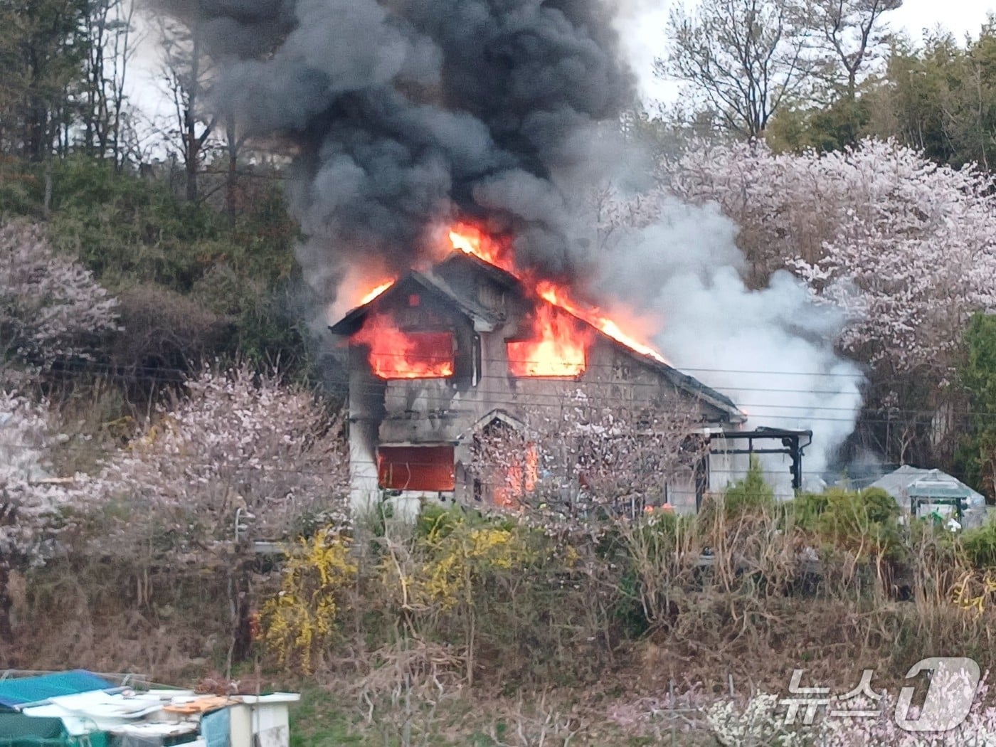 1일 오후 5시 7분쯤 경북 포항시 북구 기계면 학야리의 한 단독주택에서 난 불로 화염이 치솟고 있다. (독자 제공. 재판매 및 DB금지)2026.4.1/뉴스1
