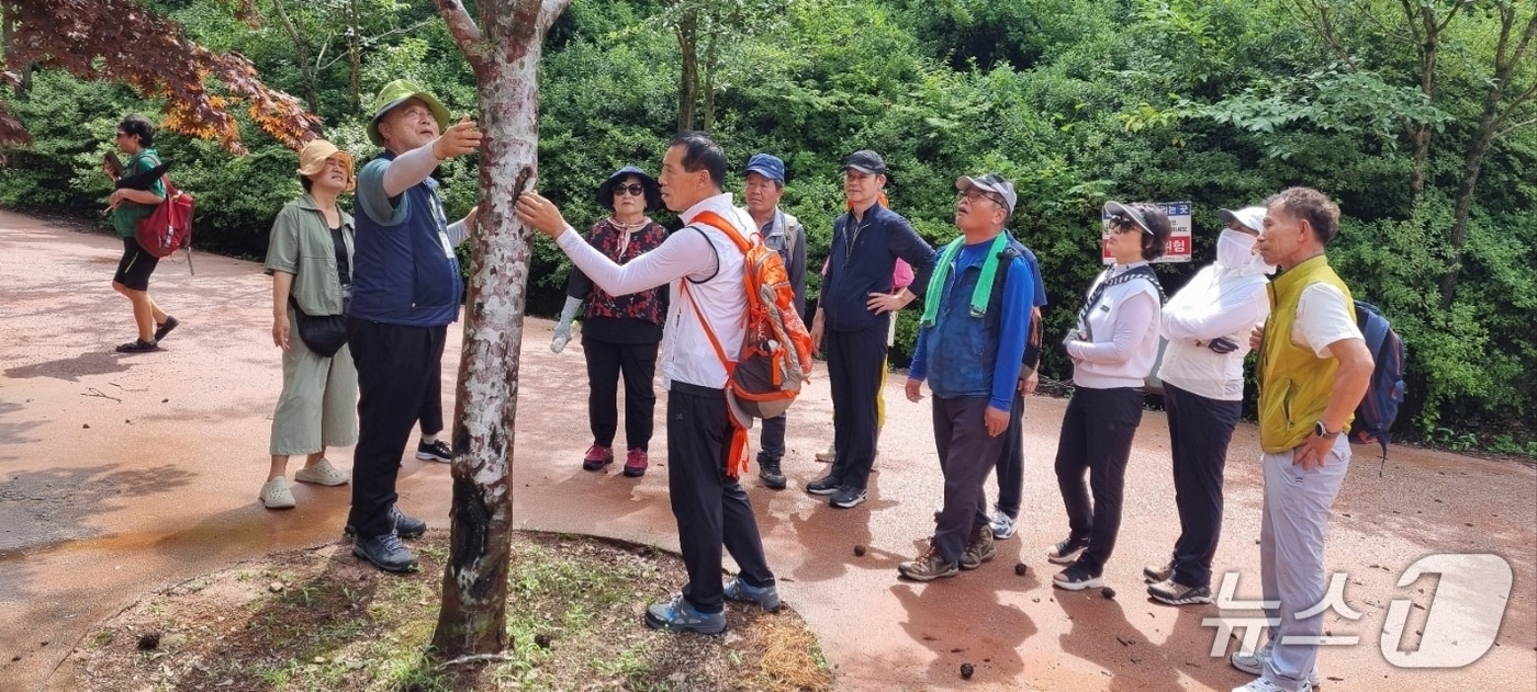 장수군은 와룡·방화동 자연휴양림에서 운영 중인 '숲해설 프로그램' 참여 대상을 모든 방문객으로 확대한다고 10일 밝혔다.(장수군 제공. 재판매 및 DB금지)2026.4.10/뉴스1