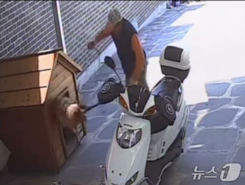 가정집 반려견을 끌고가는 남성의 모습이 담긴 CCTV 영상. (유기동물보호단체 유엄빠 블로그 갈무리) /뉴스1