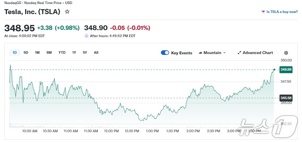 테슬라 일일 주가 추이 - 야후 파이낸스 갈무리