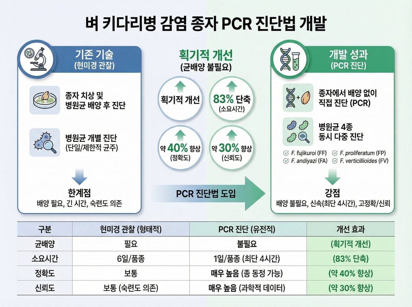 벼 키다리병 감염 종자 PCR 진단법 개발 (국립종자원 제공. 재판매 및 DB금지) 2026.4.12/뉴스1