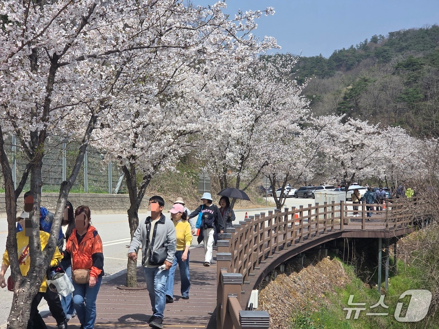 11일 오전 11시께 나들이객들이 전북 임실군 옥정호로 향하는 길을 걷고 있다.2026.4.11/뉴스1 문채연 기자