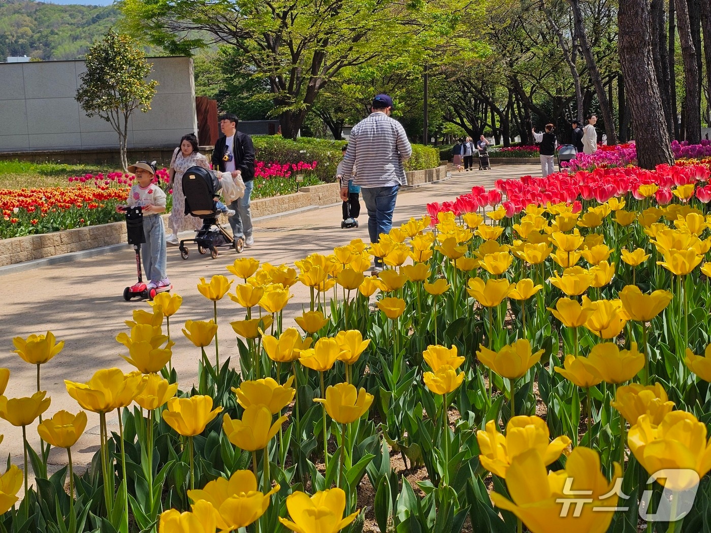 11일 오후 김해 연지공원을 찾은 시민들이 산책을 하고 있다. 2026.4.11 ⓒ 뉴스1 박민석 기자
