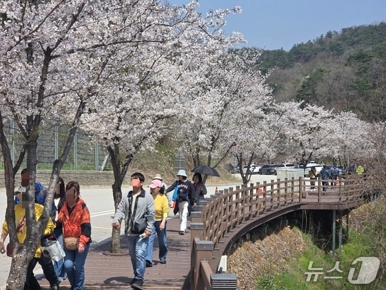 11일 오전 11시께 나들이객들이 전북 임실군 옥정호로 향하는 길을 걷고 있다.2026.4.11/뉴스1 문채연 기자