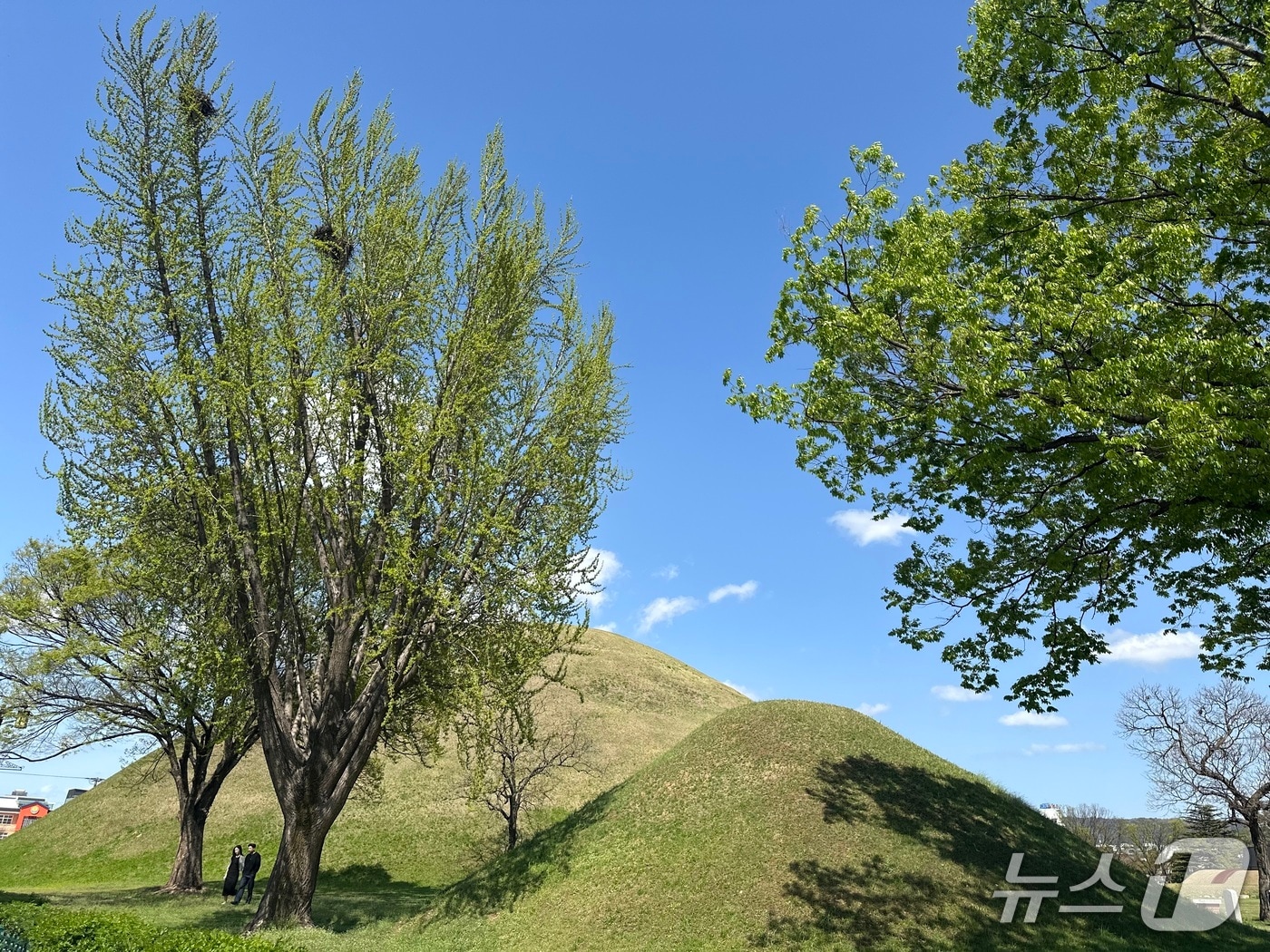 지난 10일 경북 경주시 봉황대 일대 /뉴스1 이상휼 기자