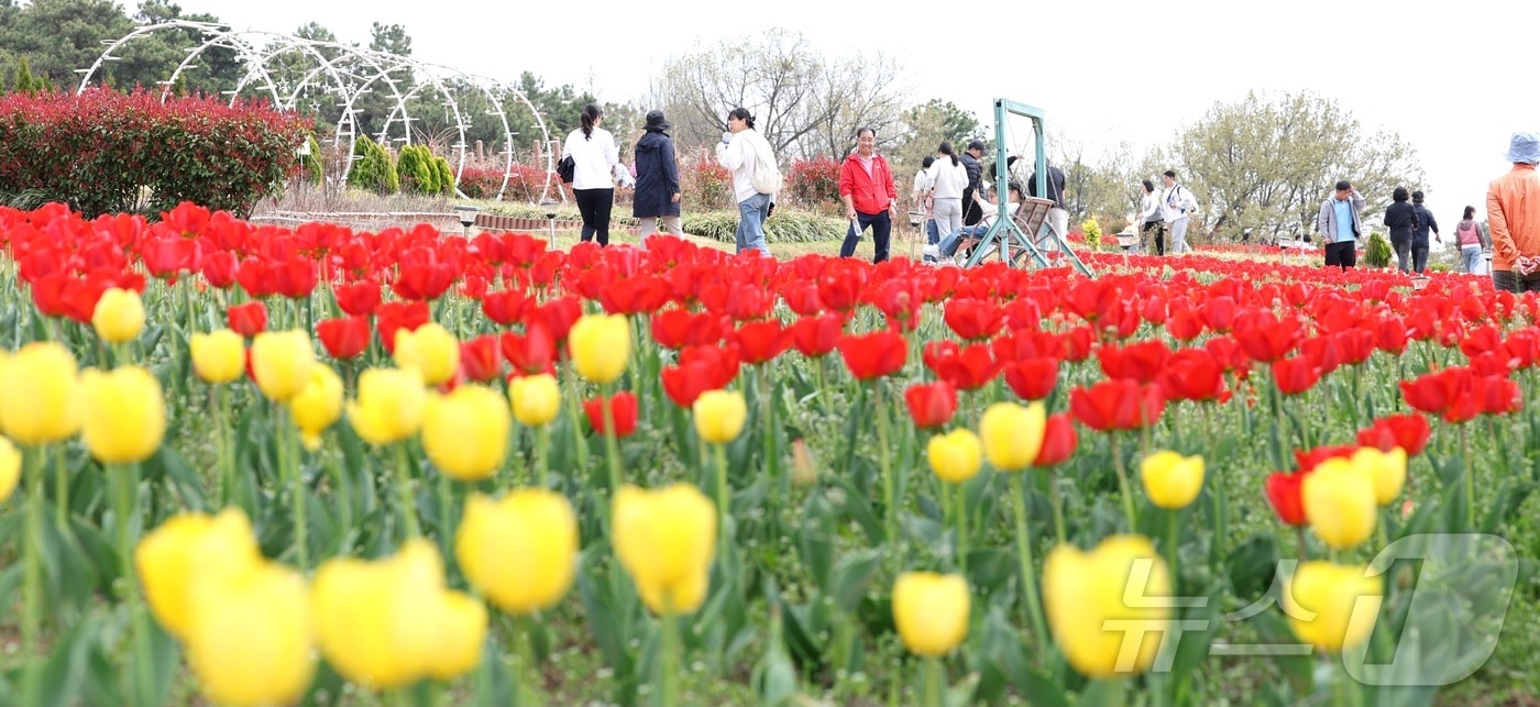 포근한 봄 날씨를 보인 12일 전북 익산시 신흥공원을 찾은 나들이객들이 만개한 튤립을 따라 거닐며 봄 정취를 만끽하고 있다. 2026.4.12 ⓒ 뉴스1 유경석 기자