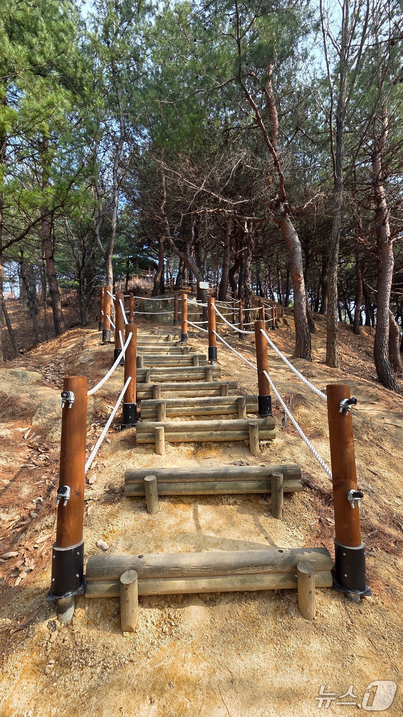 성덕동 월대산 둘레길.(강릉시 제공, 재판매 및 DB 금지) 2026.4.13/뉴스1