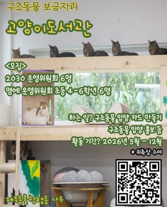 고양이도서관 위원회 모집 포스터.(제주동물권행동 나우 제공. 재판매 및 DB 금지)