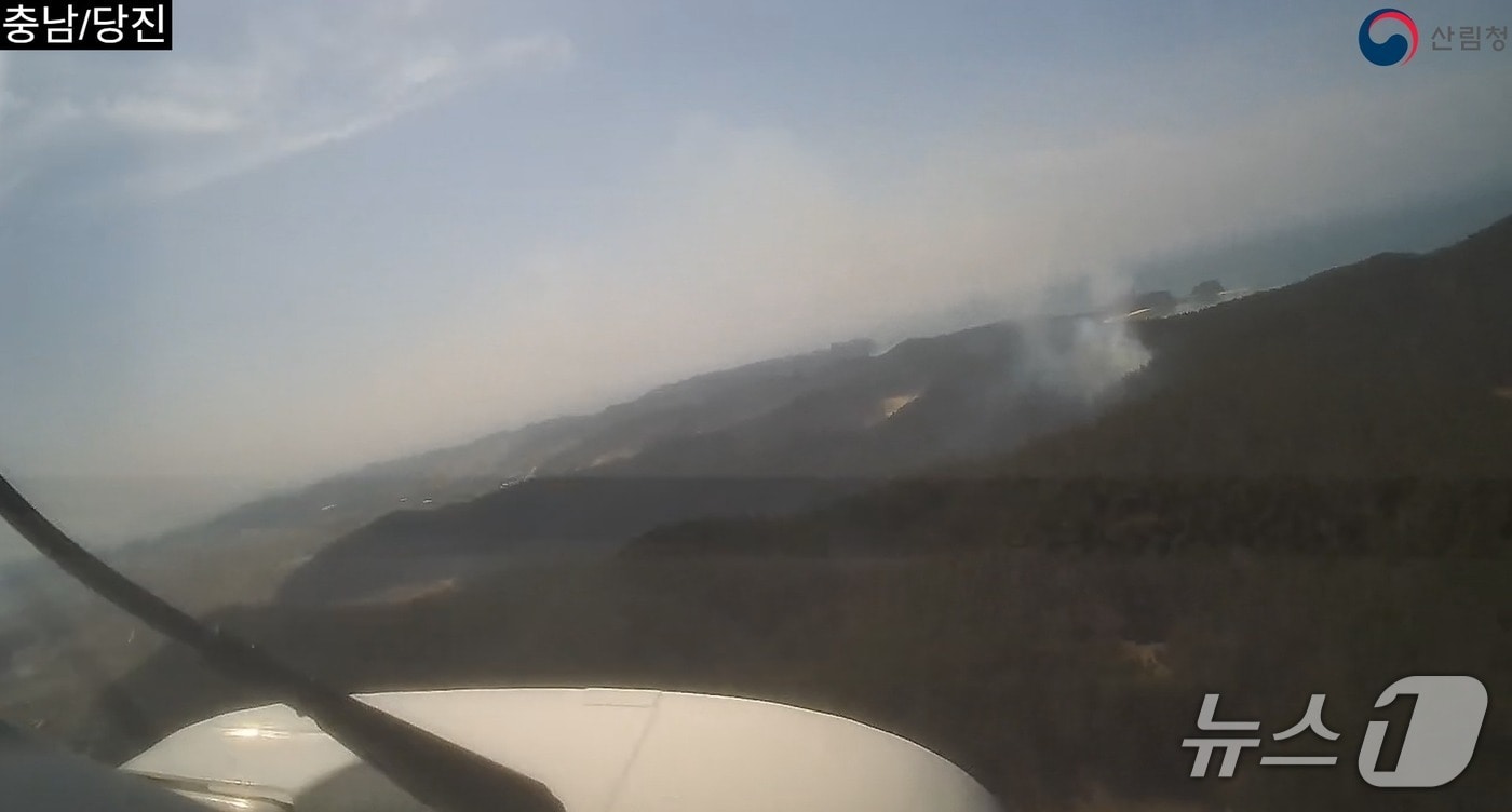  태안 소원면 산불 현장. (산림청 제공, 재판매 및 DB금지)/ / 뉴스1