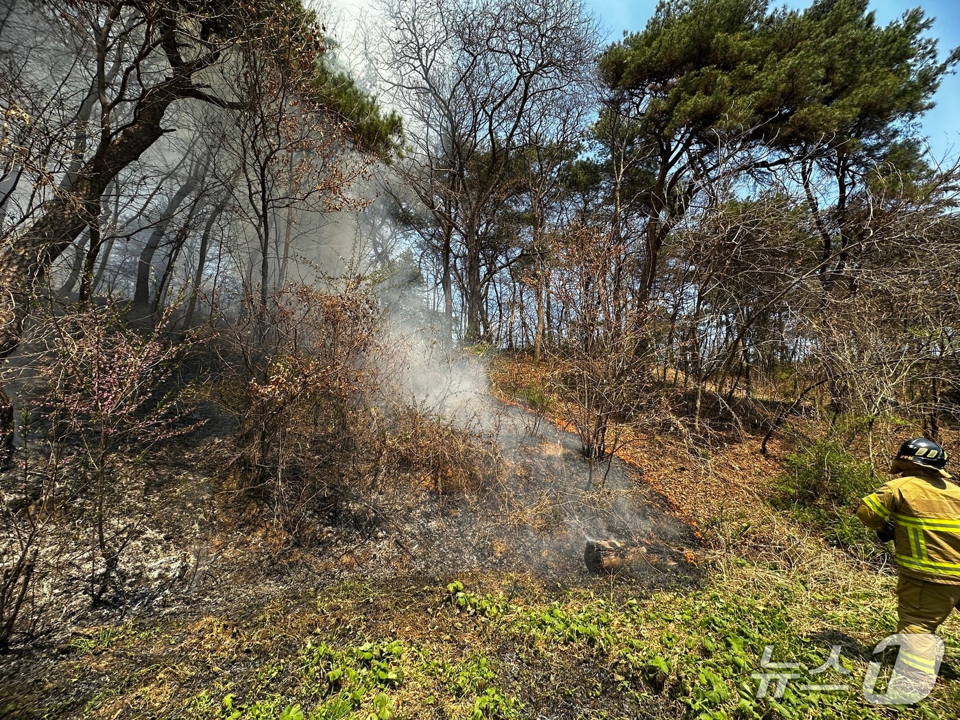 13일 낮 12시 37분쯤 경북 영주시 조암동 야산 인근 밭에서 불이나 진화 대원들이 불을끄고 있다.(경북소방본부 제공. 재판매 및 DB 금지)2026.4.13/뉴스1