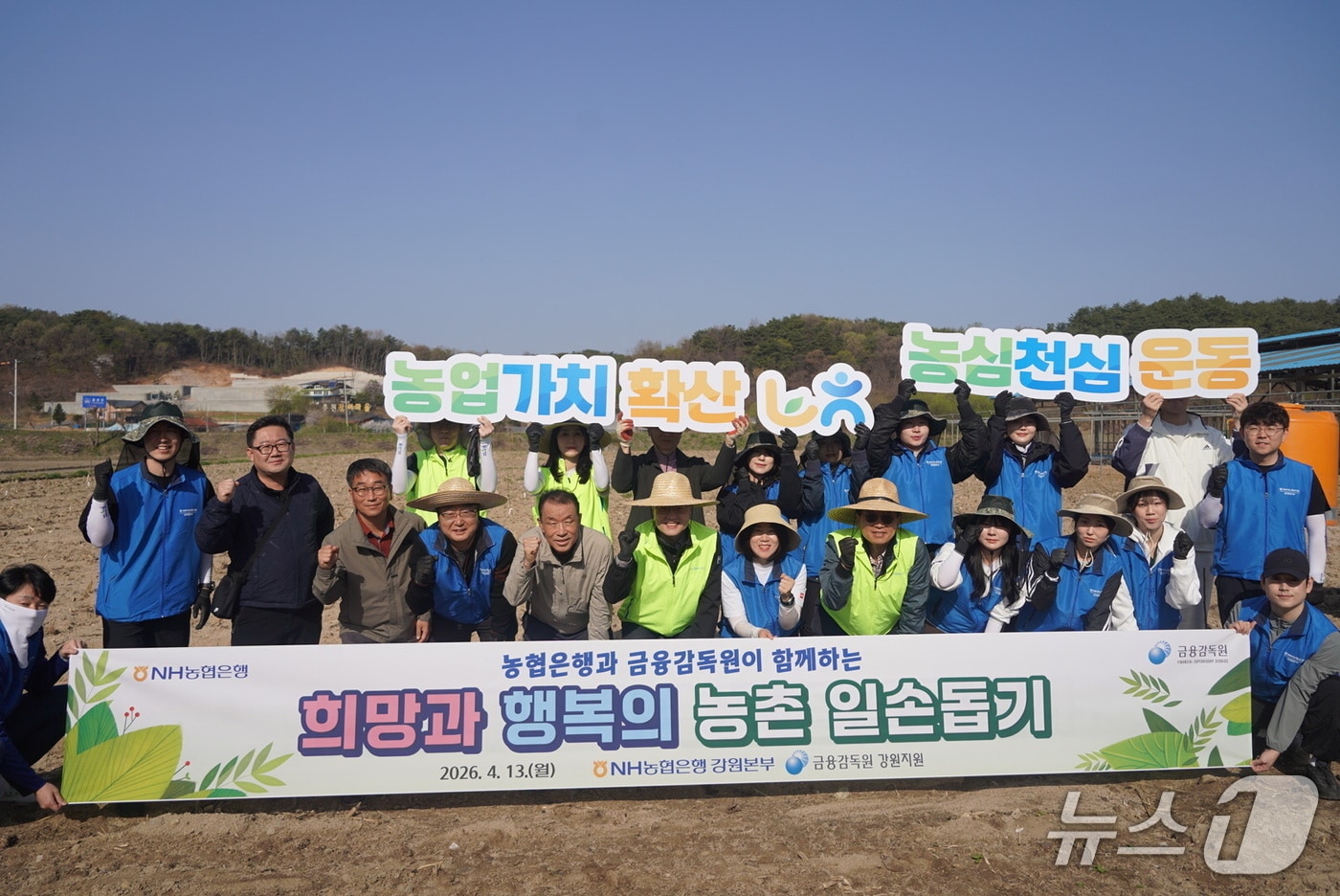 합동 농촌 일손돕기.(농협 강원본부 제공. 재판매 및 DB금지)/뉴스1