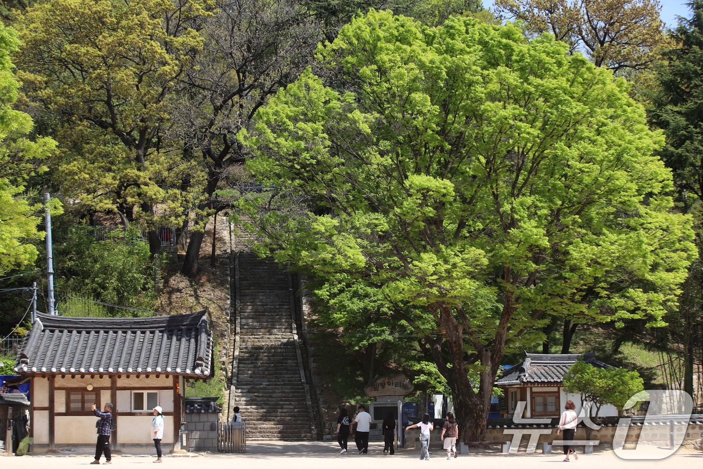 초여름 날씨를 보인 13일 경남 밀양 영남루 앞에서 반팔 등 가벼운 차림을 한 시민들이 이동하고 있다. 2026.4.13 ⓒ 뉴스1 윤일지 기자