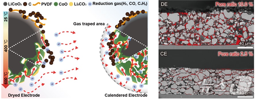 외부 환원제 없이 유가금속을 회수할 수 있는 폐이차전지 재활용 기술 개발 관련 이미지. (국립부경대 제공. 재판매 및 DB 금지)