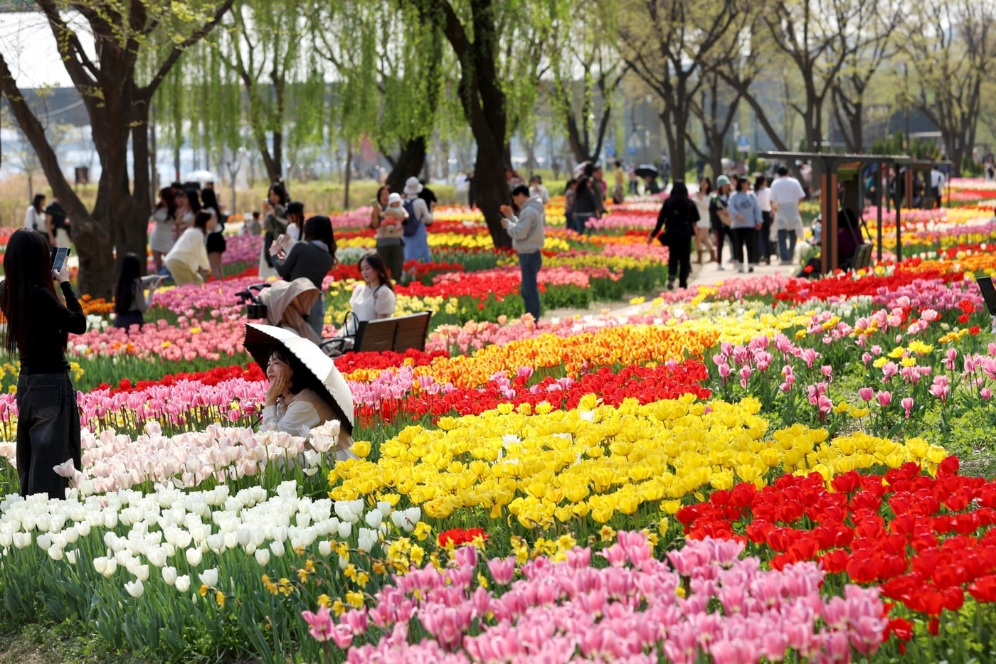 용비휴식정원(성동구 제공)