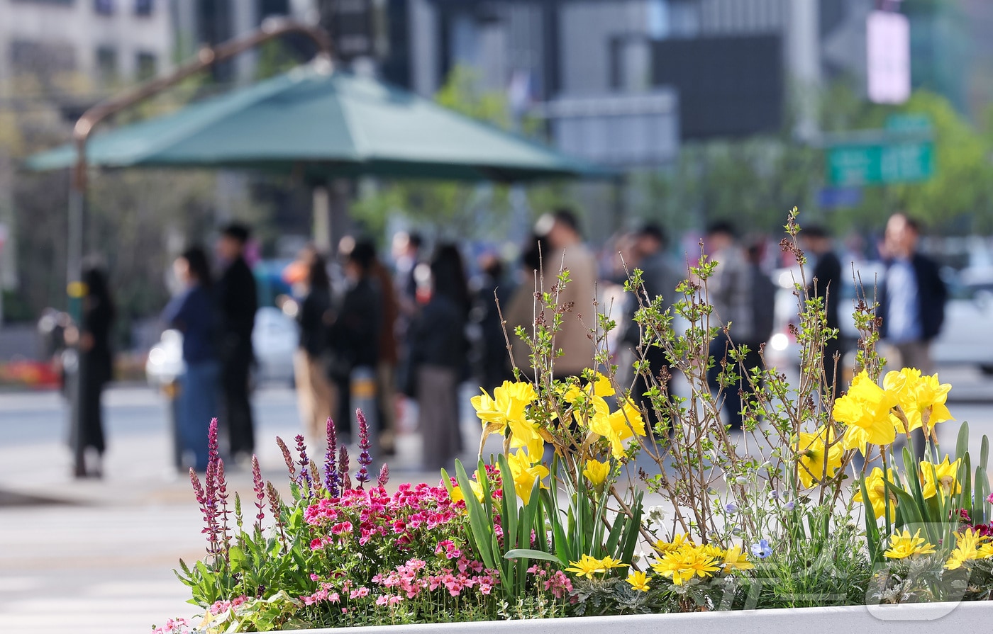 서울 낮 최고 기온이 28도까지 오르는 등 초여름 날씨를 보인 14일 서울 종로구 광화문광장에서 시민들이 그늘막 아래에서 햇빛을 피하고 있다. 2026.4.14 ⓒ 뉴스1 김성진 기자