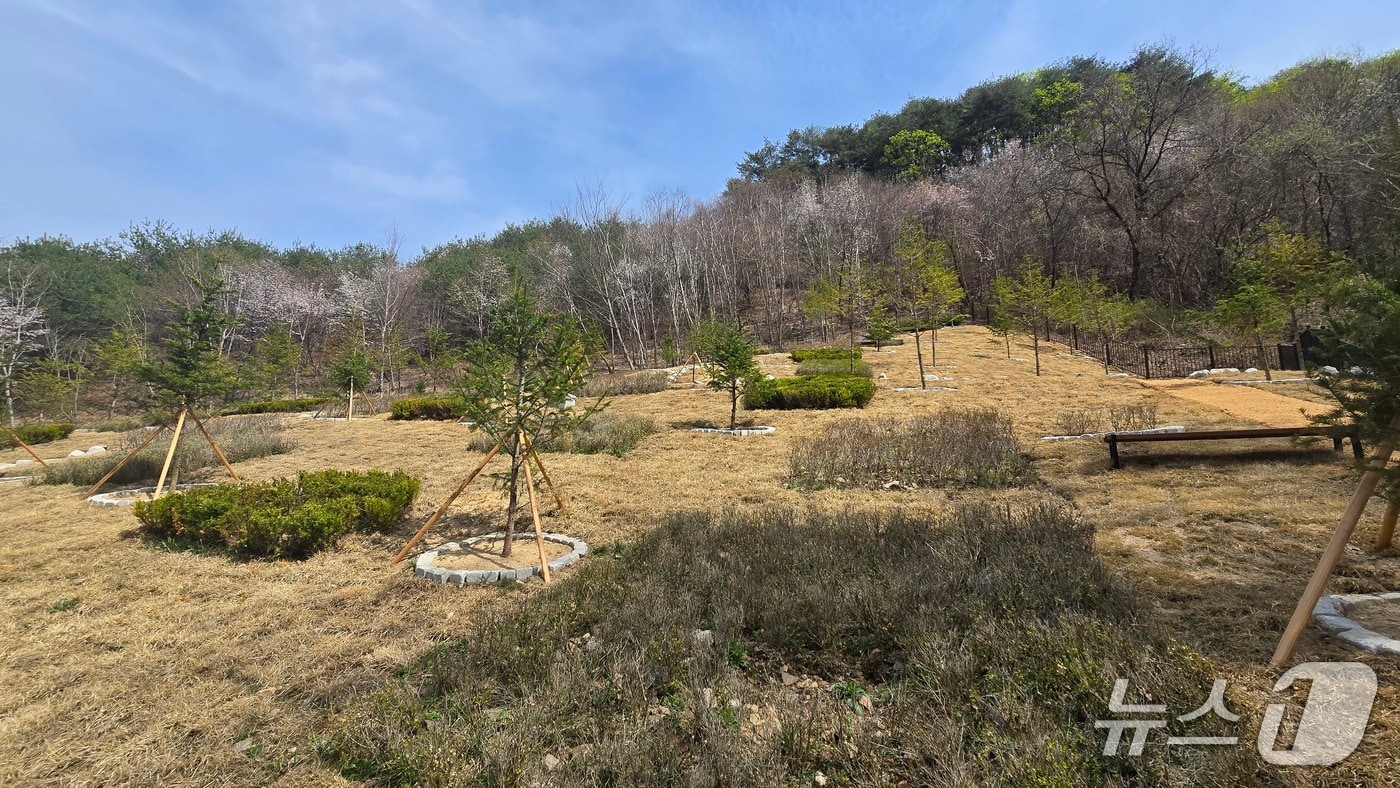 홍천군 추모공원 내 산분장지.(홍천군 제공. 재판매 및 DB금지)/뉴스1