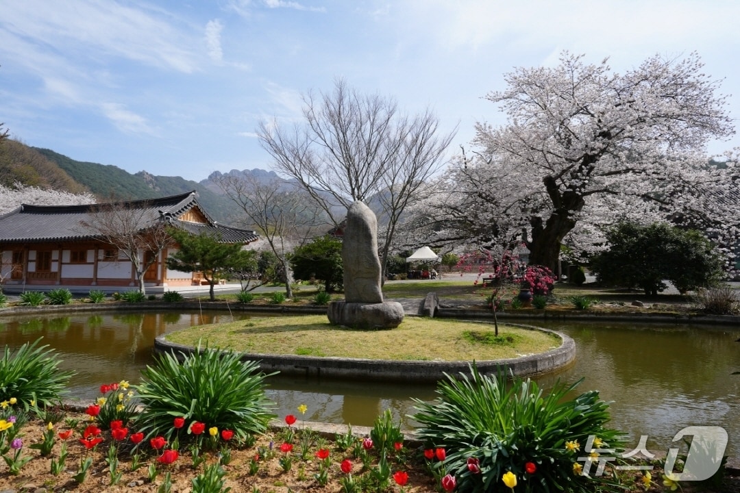 고흥 능가사 전경