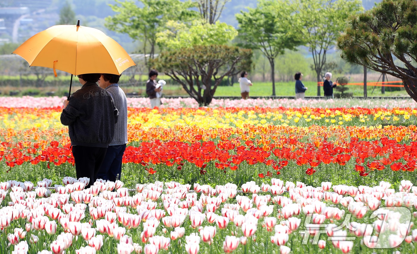 산책하는 시민들.(뉴스1 DB)