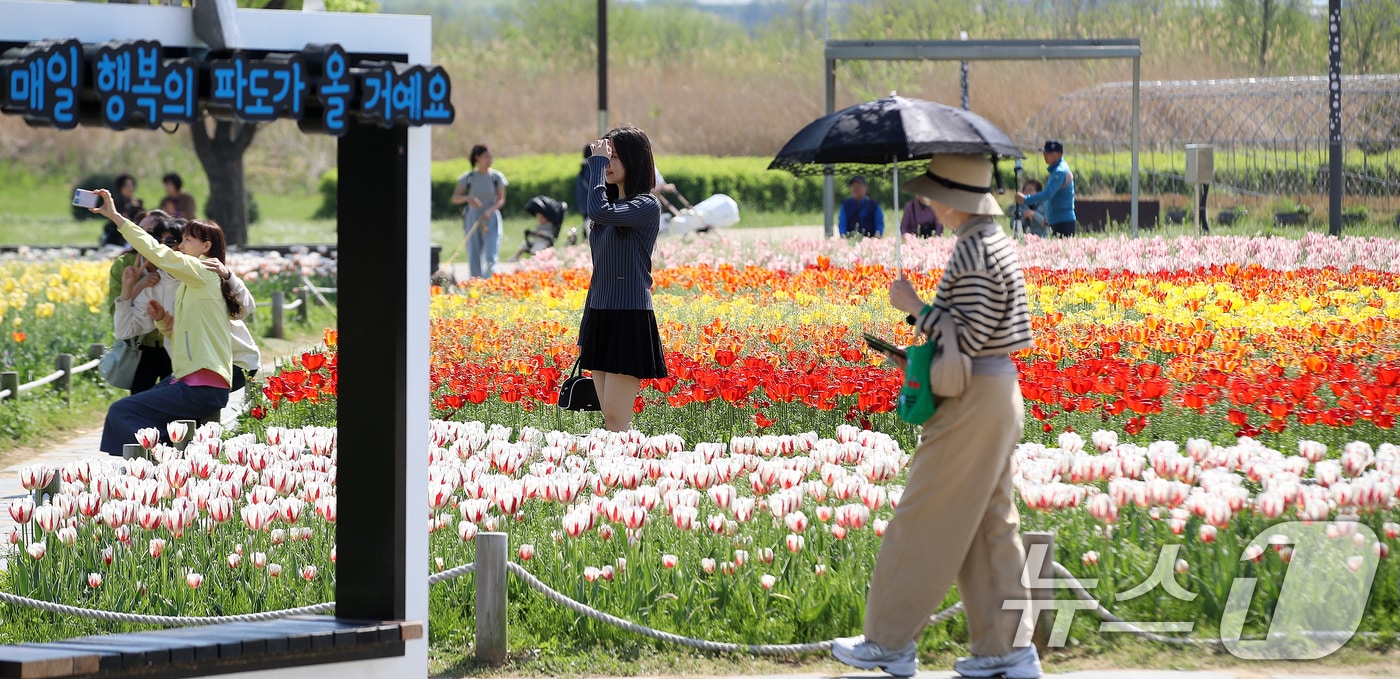 완연한 봄 날씨를 보인 15일 오후 경남 양산 황산공원을 찾은 시민들이 활짝 핀 튤립을 구경하며 봄기운을 즐기고 있다. 2026.4.15 ⓒ 뉴스1 윤일지 기자