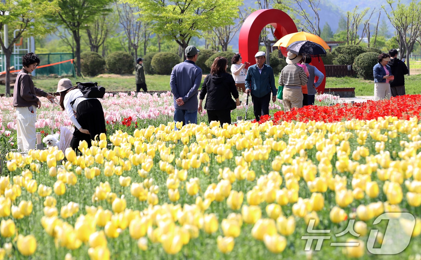 자료사진. 2026.4.15 ⓒ 뉴스1 윤일지 기자
