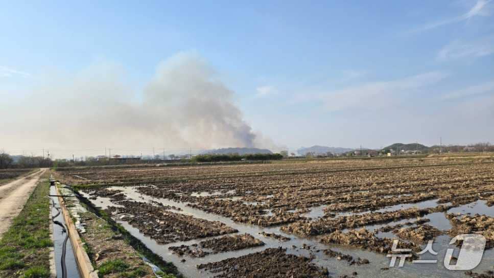 강원 철원 근남면 마현리 산불 현장.(강원도소방본부 제공, 재판매 및 DB금지)