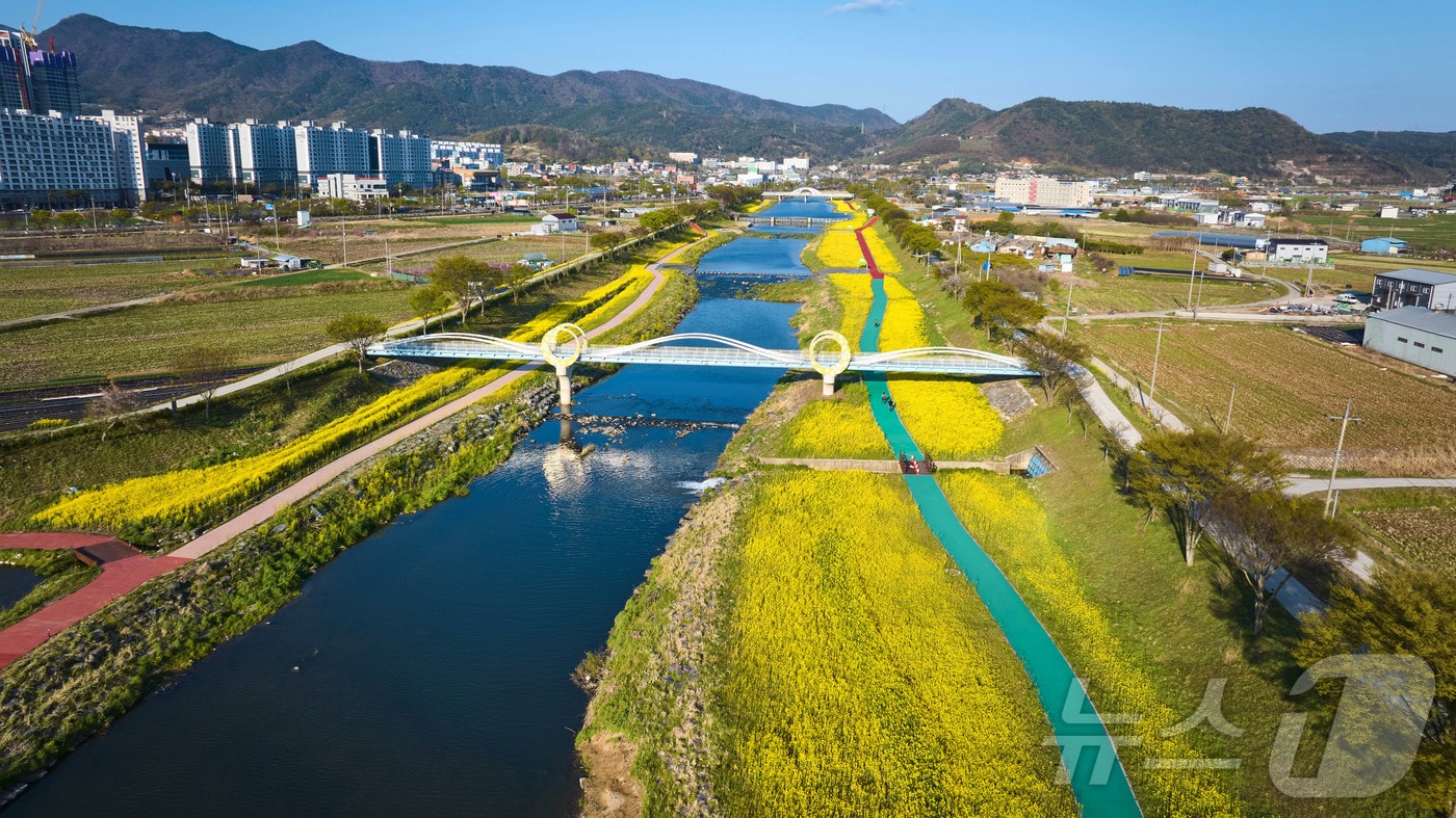 유채꽃이 핀 화순 꽃강길.(화순군 제공, 재배포 및 DB 금지) ⓒ 뉴스1