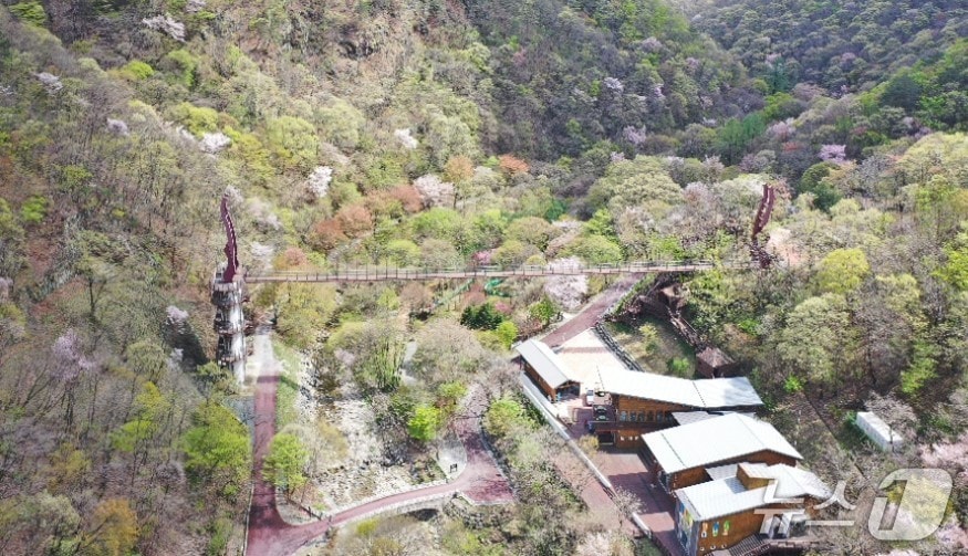 금산산림문화타운 (금산군 제공.재판매 및 DB금지)/뉴스1