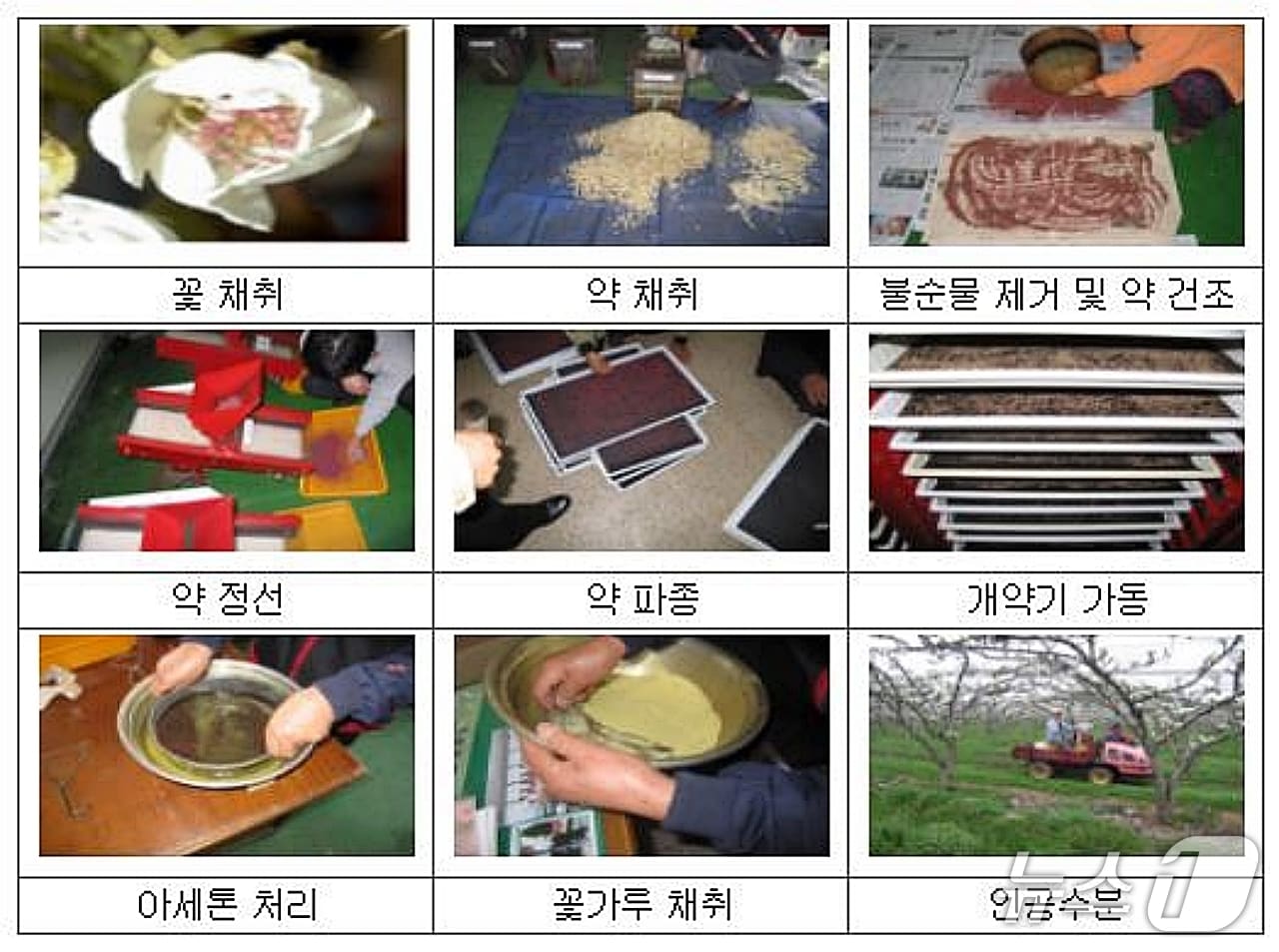 과수 꽃가루은행 개념도.(농촌진흥청 제공. 재판매 및 DB금지)