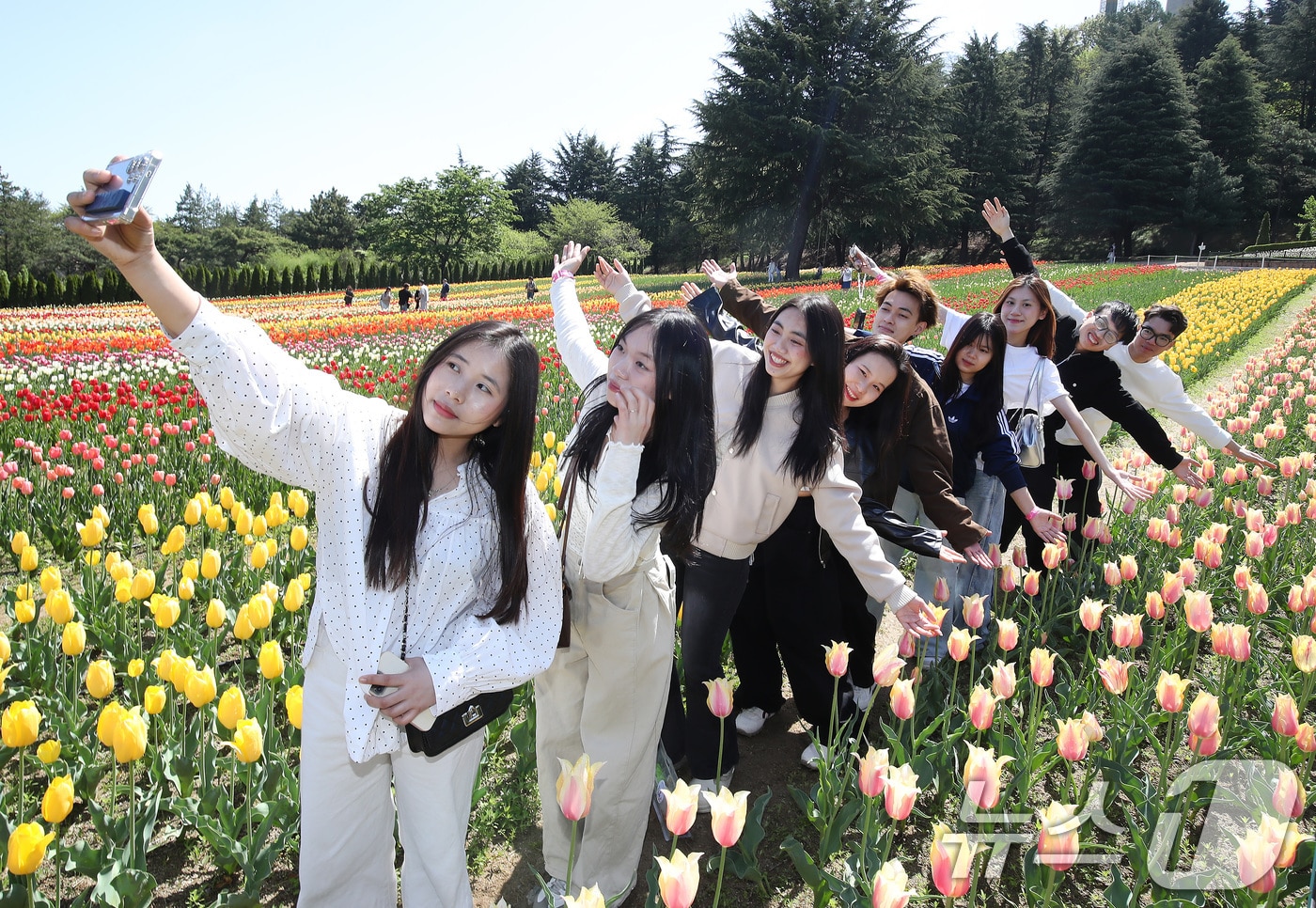 초여름 날씨를 보인 16일 대구 달서구 테마파크 이월드를 찾은 대구가톨릭대 언어교육원 한국어과정 유학생들이 곱게 핀 튤립정원에서 기념촬영을 하고 있다. 2026.4.16 ⓒ 뉴스1 공정식 기자