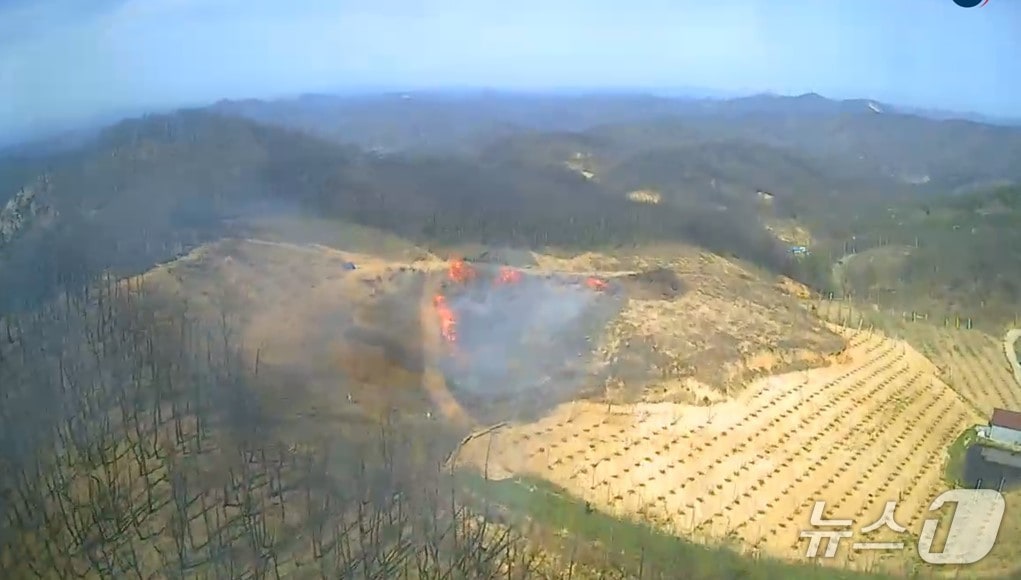 16일 오후 2시 25분쯤 경북 안동시 길안면 백자리 야산에서 불이나 진화 헬기가 불을 끄고 있다.(경북소방본부 제공. 재판매 및 DB 금지)2026.4.16/뉴스1